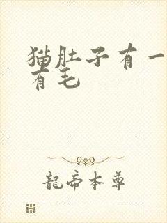 猫肚子有一片没有毛