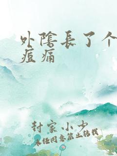 外阴长了个大痘痘痛