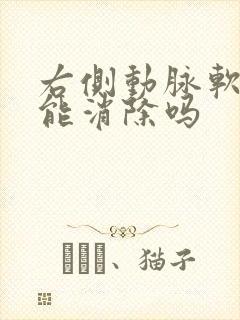 右侧动脉软斑块能消除吗