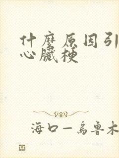 什么原因引起的心脏梗