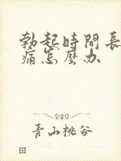 勃起时间长睾丸痛怎么办