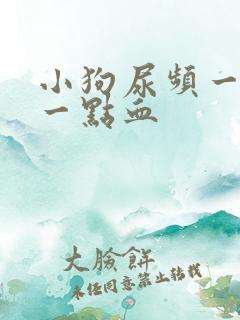 小狗尿频一会尿一点血