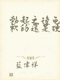 勃起之后龟头是软的还是硬的