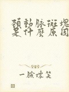 颈动脉斑块形成是什么原因造成的