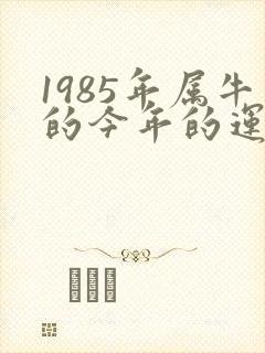 1985年属牛的今年的运气怎么样