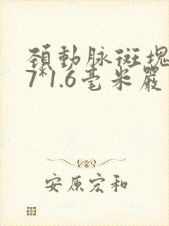 颈动脉斑块6.7*1.6毫米严重吗
