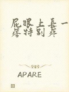 屁眼上长一个疙瘩特别疼