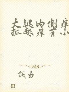 大腿内侧痒痒越抓越痒有小红疙瘩什么原因