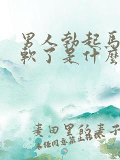 男人勃起马上又软了是什么原因