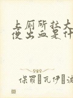 上厕所拉大便小便出血是什么原因