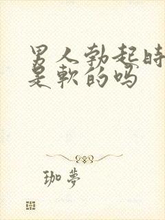 男人勃起时龟头是软的吗