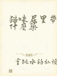 猫咪尿里带血吃什么药