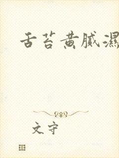 舌苔黄腻湿气重