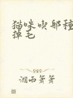 猫咪吃那种粮不掉毛