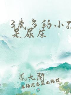 3岁多的小孩总是尿床