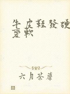 牛皮鞋发硬怎么变软