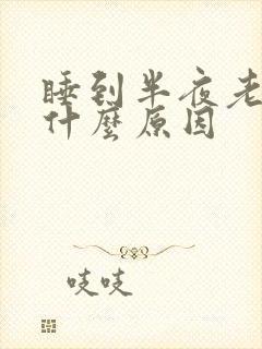 睡到半夜老醒是什么原因