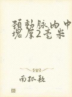 颈动脉内中膜斑块厚2毫米