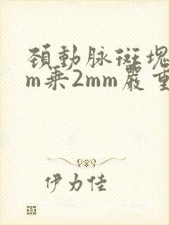 颈动脉斑块5mm乘2mm严重吗