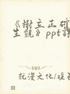 《树立正确的人生观》ppt课件