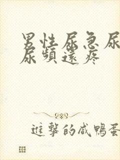 男性尿急尿频尿尿频还疼