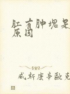 肛有肿块是什么原因