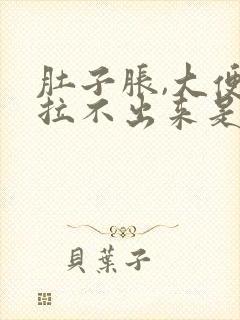 肚子胀,大便又拉不出来是什么原因