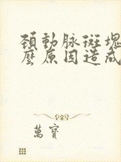 颈动脉斑块是什么原因造成的