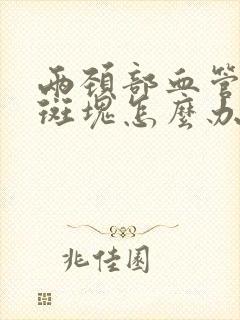 两颈部血管都有斑块怎么办