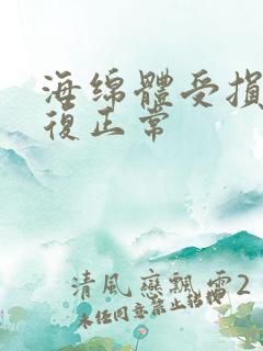 海绵体受损会恢复正常