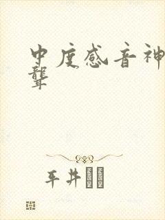 中度感音神经性聋