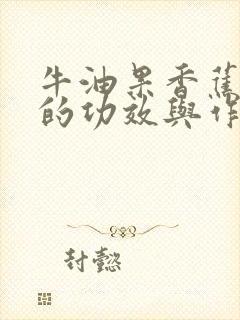 牛油果香蕉奶昔的功效与作用