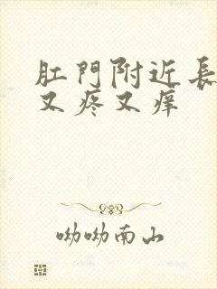 肛门附近长疙瘩又疼又痒