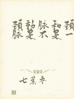 颈动脉和颈椎动脉是不是一回事