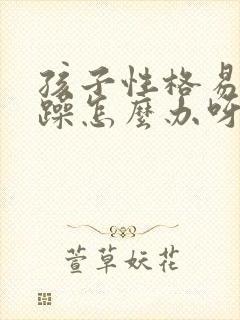 孩子性格易怒暴躁怎么办呀