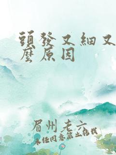 头发又细又软什么原因