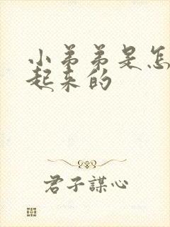 小弟弟是怎么硬起来的