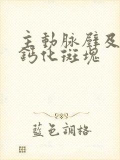 主动脉壁及冠脉钙化斑块