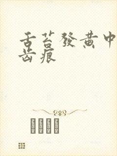 舌苔发黄中间有齿痕