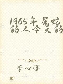 1965年属蛇的人今天的财运