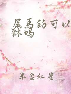 属马的可以带貔貅吗