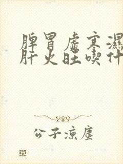 脾胃虚寒湿气重肝火旺吃什么药最好