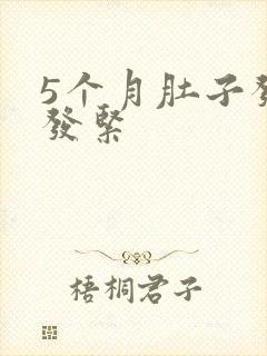 5个月肚子发硬发紧