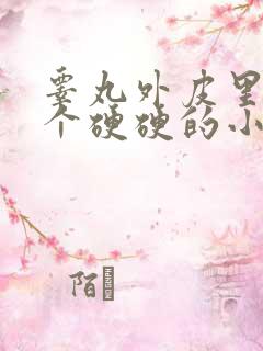 睾丸外皮里面有个硬硬的小疙瘩