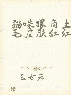 猫咪眼角上方掉毛皮肤红红的