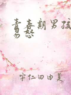 青春期男孩暴躁易怒