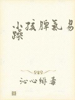 小孩脾气易怒暴躁