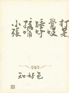 小孩睡觉打呼噜张嘴呼吸是什么原因引起的