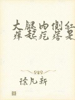 大腿内侧红肿瘙痒起疙瘩是什么情况