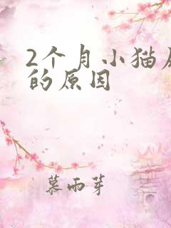 2个月小猫尿床的原因